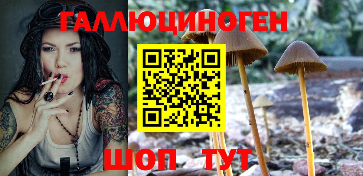 Саяногорск  Псилоцибиновые грибы Cubensis  Вход с VPN  Псилоцибиновые грибы Psilocybine cubensis 