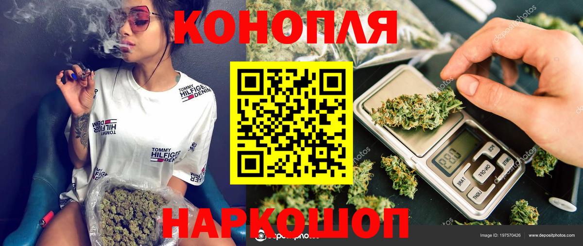 Бошки Шишки планчик Саяногорск